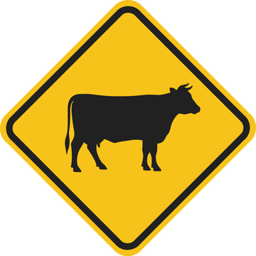 Yellow diamond road sign warning of cattle crossing the roadway