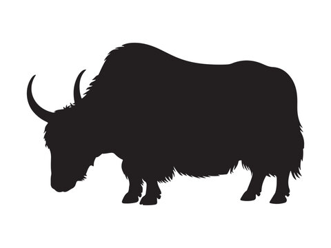Black yak silhouette flat vector illustration isolated design