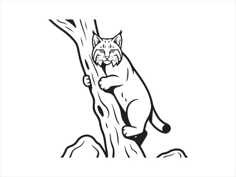 Wild cat scratching tree line art vector illustration, forest feline animal outline design