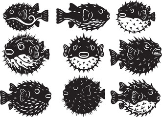 Inflated Pufferfish Expanding into Round Defensive Shape © Ansar