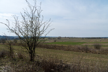 Biała Błotna - droga polna  © rob