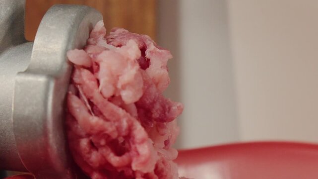 Grinding meat for cooking experiments. Closeup of meat being shaped and prepared in small kitchen setup with visible texture and fat pieces