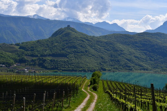 Sch&ouml;ne Landschaft am Kalterer See in S&uuml;dtirol
