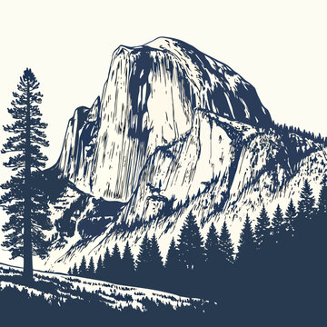 A detailed sketch depicts yosemite s el capitan a massive granite monolith alongside tall evergreen trees and a forested landscape high quality