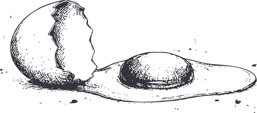 Cracked egg with yolk and shell fragments white background, hand-drawn style