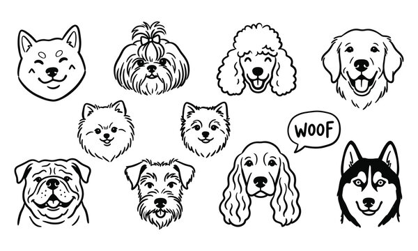 Black and white line art illustration featuring various canine head portraits, drawing collection, pet sketches, doggy faces.