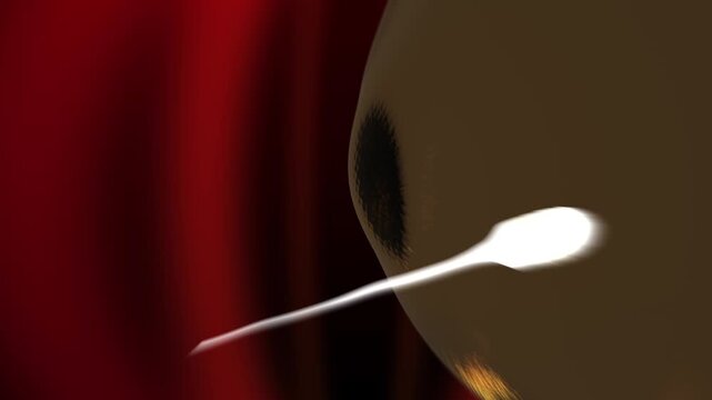 A Sperm Attempts to Enter an Egg