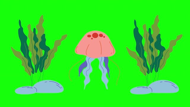 Cartoon jellyfish swimming between seaweed on green screen