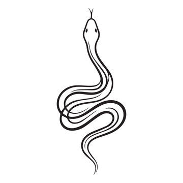 Minimalist Snake Line Art Illustration - Elegant Black and White Serpent Silhouette Vector Isolated on White Background