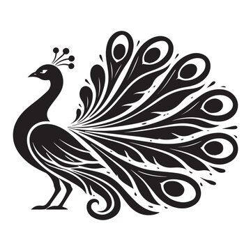 Majestic Peacock Vector Illustration Isolated on White Background - Elegant Black and White Bird Line Art