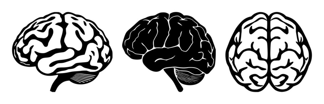 Neurology brain synapse icon set with solid black shape on white background featuring brain, synapse, electrical, neuroscience, icon with illustration and vector