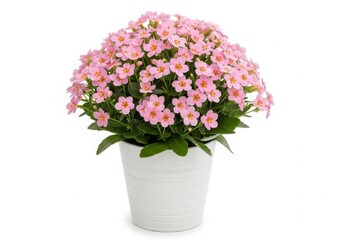 Fototapeta premium A beautiful bouquet of pink flowers arranged in a white ceramic vase