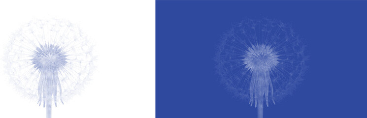Fototapeta premium Round Dandelion Puff in Blue Cyanotype Vintage Print Style
