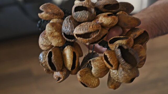 Slow Motion Video of Man Shaking Nut Shell Rattle Close Up