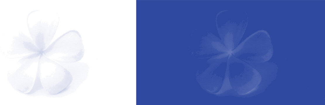 Dainty Wildflower in Blue Cyanotype Style for Soft Minimalist Botanical Illustration Design