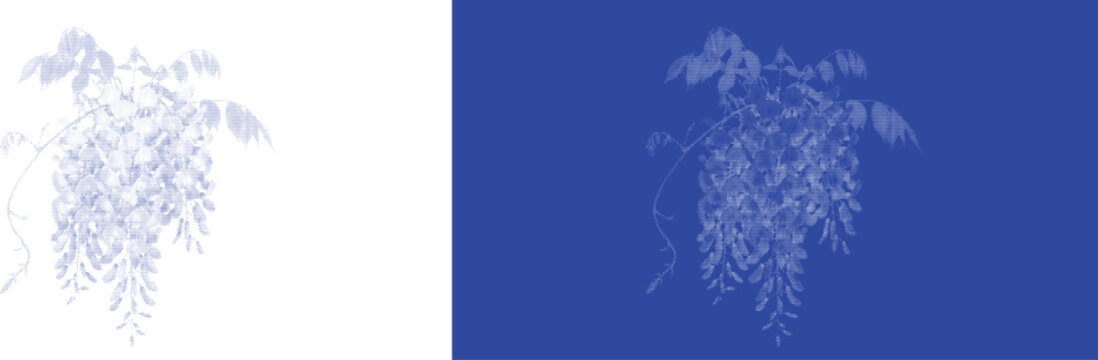 Hanging Wisteria Flowers in Cyanotype Blue for Elegant Vintage Botanical Wedding Design