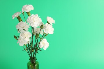 Obraz premium Beautiful carnation flowers in vase on green background, closeup. Space for text