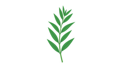 Fototapeta premium Watercolor illustration of a green leafy branch isolated on white background.