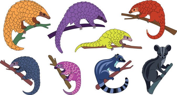 Colorful Pangolin and Exotic Civet Collection with Various Wild Mammal Species Perched on Branches