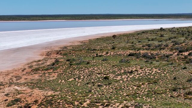 Aerial View of Remote Salt Amadeus Lake With Vegetated Island and Expansive Salt Flats, Northern Territory, Australia.