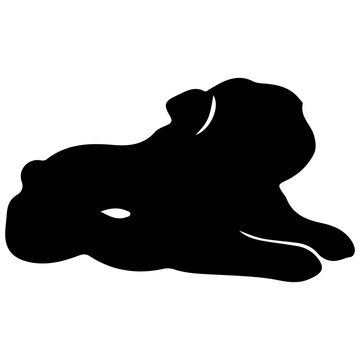 Bulldog lying down black silhouette Photo