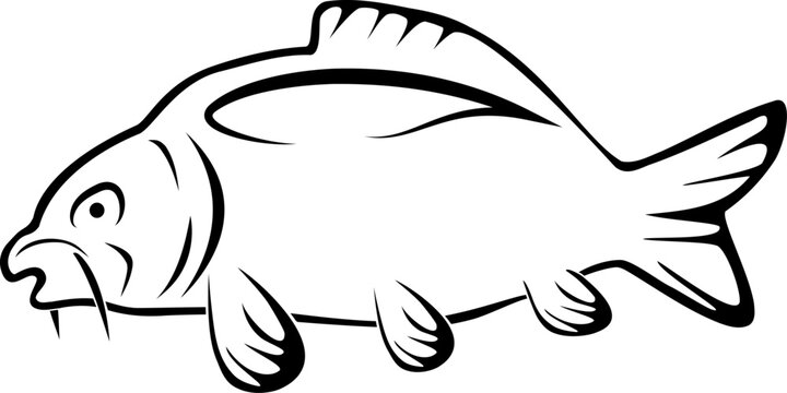 Karpfen gezeichnet, Karpfen, Fisch, Logo, Angeln, Sport, Icon, Aufkleber Label