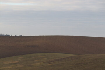 Obraz premium Rolling agricultural fields with a distant treeline under a soft cloudy sky