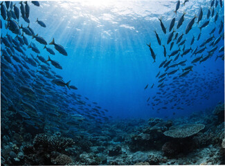 Fototapeta premium School of blue fish swimming in deep ocean water with sunlight rays and coral reef underwater background