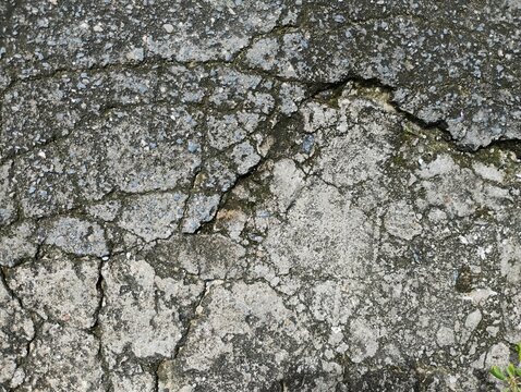 Textura de piso de cimento velho rachado e com limo