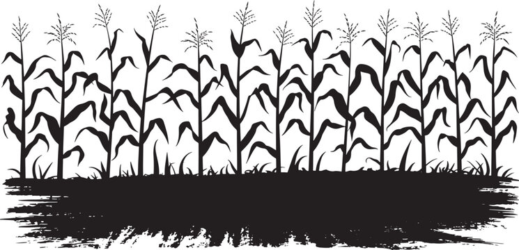 Cornfield with Grunge Texture Foreground Black Silhouette