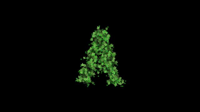 Green leaves forming letter A on transparent background

Fresh green foliage particles dynamically forming letter A shape with alpha channel for compositing
