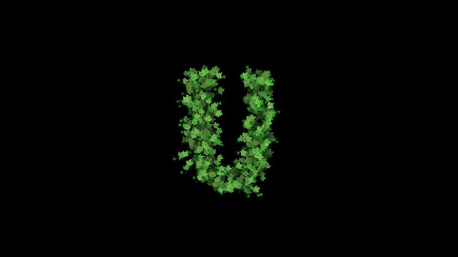 Green leaves forming letter U on transparent background

Fresh green foliage particles dynamically forming letter U shape with alpha channel for compositing
