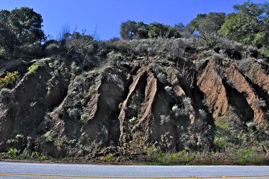 Unusual erosion pattern on roadcut made up of Quaternary age alluvium, Stevens Canyon Road, Cupertino, California