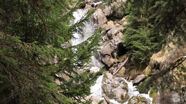 Icy mountain waterfall in the forest.
