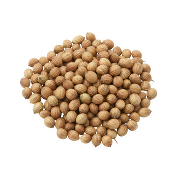 Pile of dried brown coriander seeds isolated on a transparent background