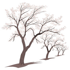 Fototapeta premium Illustration of trees with blossoming flowers on in a row