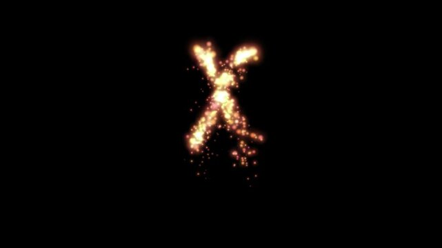 Glowing golden fire letter X on transparent background

Bright fiery particles and golden sparks dynamically forming letter X shape with alpha channel
