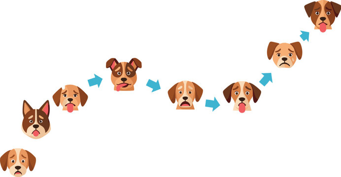 Dog emotion progression illustration with different facial expressions and transitions, playful vector design showing mood changes, behavior stages and pet communication concept