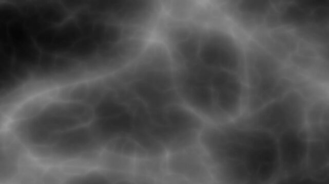 Abstract animation of grayscale texture resembling lightning strikes or neural pathways in a dark, ethereal background.