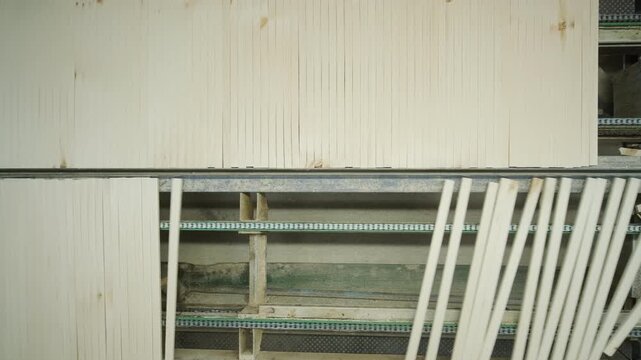 A stream of small wooden pieces and offcuts moving along a conveyor belt, representing byproduct management in a large wood factory