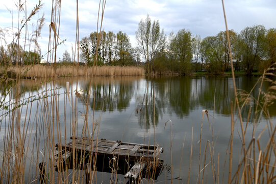 Spring pond with tree reflections and dramatic cloudy sky in rural countryside