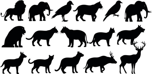 Obraz premium Black silhouettes of various wild animals