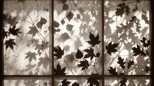 A sepia-toned, soft-focus photograph captures the dappled shadows of leaves cast upon a textured, translucent surface, possibly a sheer curtain or rice paper screen.