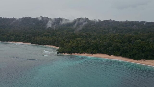 Aerial Forest Coastline With Drifting Fog, Drone Shot Shows Mist Rising From Dense Tropical Rainforest Above Empty Sandy Beach And Calm Turquoise Ocean, Moody Overcast Sky, Java, Indonesia