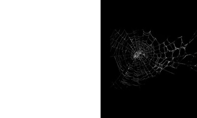 Intricate spider web on a dark background a delicate natural structure with a contrast to a white space representing nature and fragility © Bestai