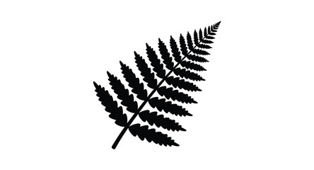 A striking black fern frond silhouette on transparent background © DS