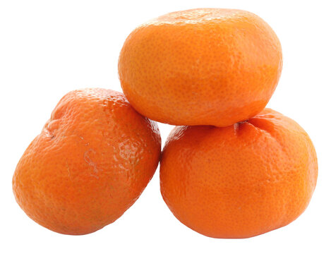 Fresh organic oranges