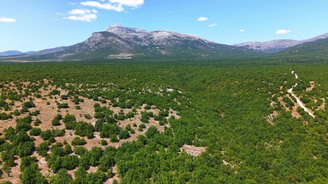 Aerial view of the Dinara mountain range and lush green valley in Croatia, scenic landscape