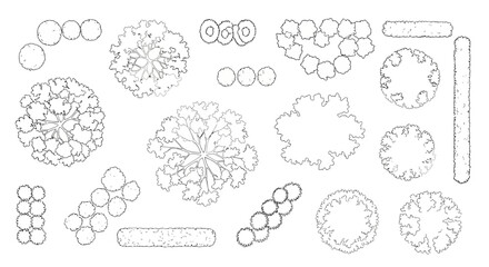 Top View Line Art Trees Shrubs and Hedges for Landscape Design © Best Design_Academy