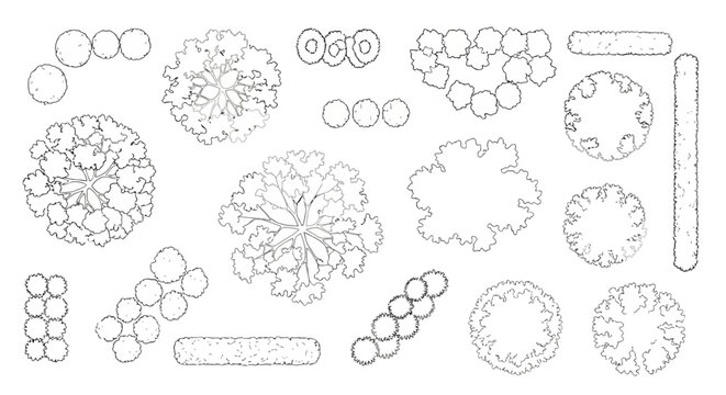 Top View Line Art Trees Shrubs and Hedges for Landscape Design